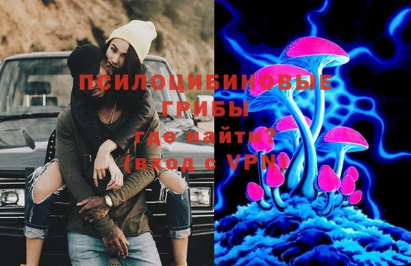ПСИЛОЦИБИНОВЫЕ ГРИБЫ Алзамай