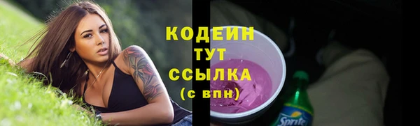 ПСИЛОЦИБИНОВЫЕ ГРИБЫ Алзамай