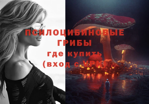 дмт Алексин