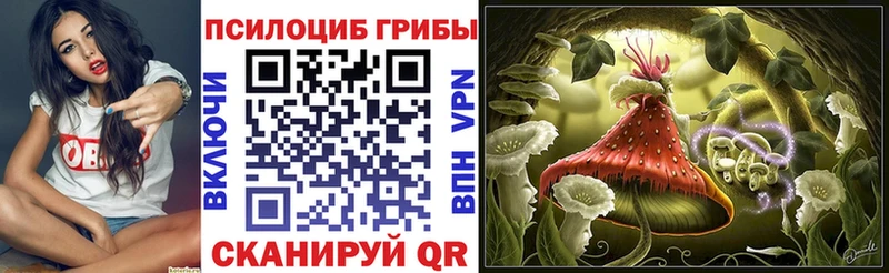 наркотики  Зеленоградск  Галлюциногенные грибы Psilocybine cubensis 